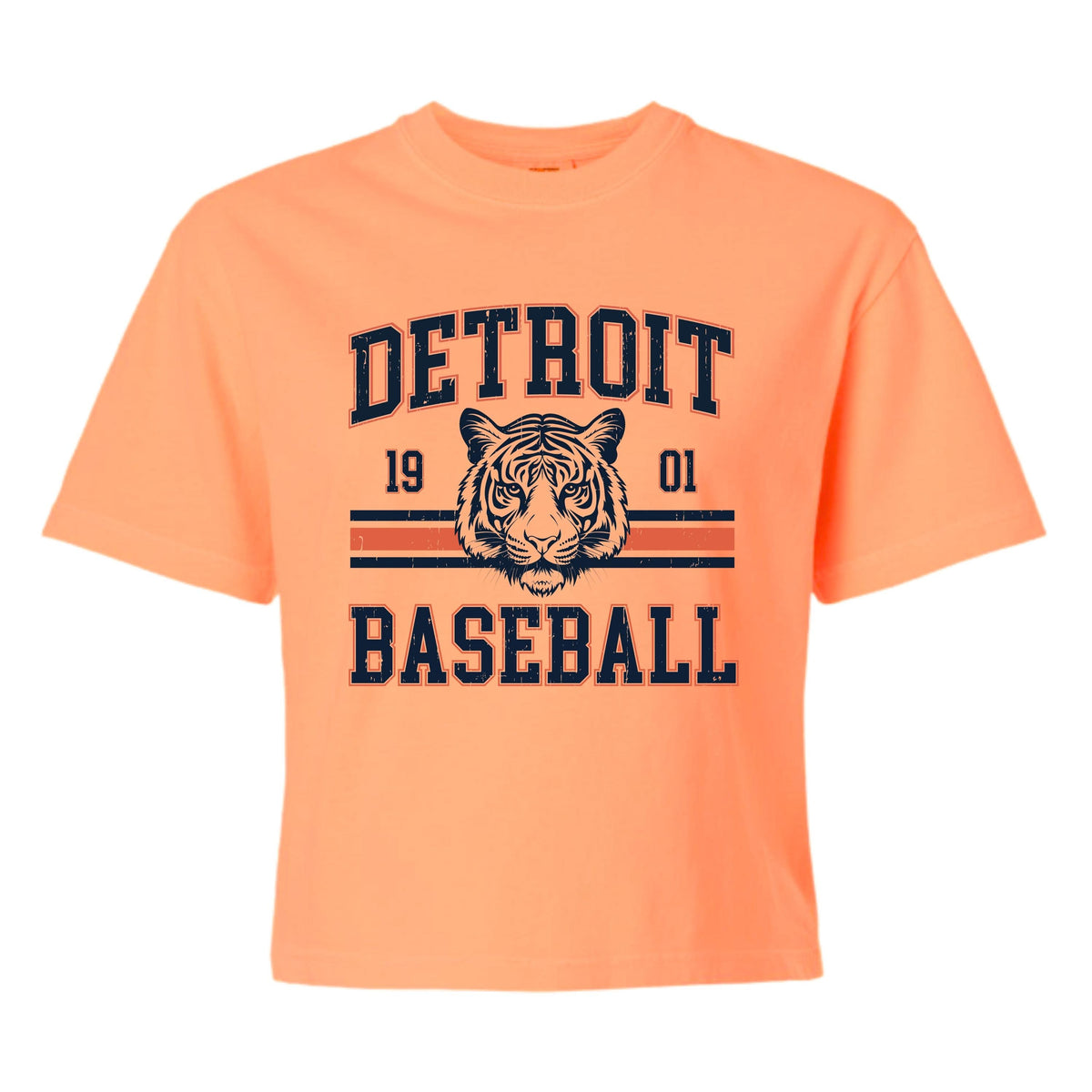 Detroit Baseball Vintage Shirt | Tigers Fan Tee | Retro Tiger Graphic Game Day